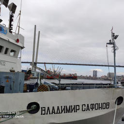 Экспедицию провели на научно-исследовательском судне «Владимир Сафонов». Фото пресс-службы ТИНРО