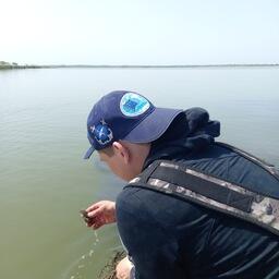 Работы велись на водоемах Ростовской области. Фото пресс-службы ВНИРО
