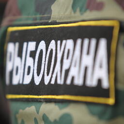 На Чукотке усиливают меры по борьбе с браконьерами