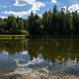 Изменения в Лесной кодекс должны комплексно решить вопросы по использованию лесных участков для рыбохозяйственной деятельности