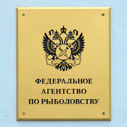 Рыбацкое сообщество готово к конструктивной работе с новым главой отрасли