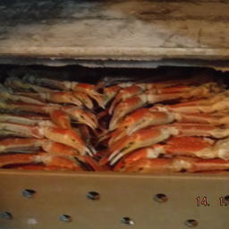 На борту обнаружили 17 тонн мороженой крабовой продукции. Фото пресс-службы Пограничного управления ФСБ России по Сахалинской области