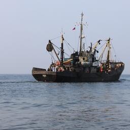 Предприятия Приморского края за 2024 г. добыли 900 тыс. тонн рыбы и морепродуктов