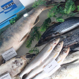Продукция Южно-Курильского рыбокомбината