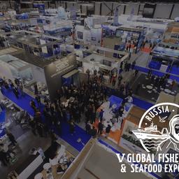 Seafood Expo Russia всегда предлагает участникам эффективные решения наиболее значимых задач. Фото пресс-службы ESG