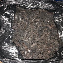 Сушеного трепанга нашли среди мешков с овсом. Фото пресс-группы Погрануправления ФСБ России по Приморскому краю
