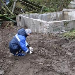 Специалисты Мурманской областной ветлаборатории собрали пробы почвы рядом с бункером. Фото пресс-службы регионального комитета по ветеринарии