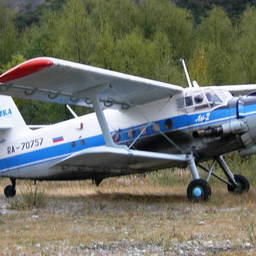 Аэровизуальные наблюдения выполнялись с помощью самолета АН-2. Фото пресс-службы МагаданНИРО