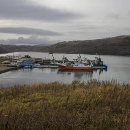 Японская бизнес-миссия работала на Курилах с 27 октября. Фото пресс-службы правительства Сахалинской области