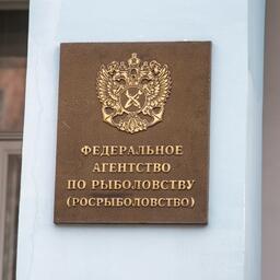Росрыболовство распределило под промышленный лов объемы ставриды в ЮТО