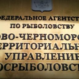 Организатором торгов стало Азово-Черноморское теруправление Росрыболовства