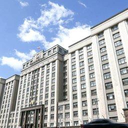 Депутаты приняли закон, уточняющий правила использования русловых прудов для товарной аквакультуры. Фото пресс-службы Госдумы