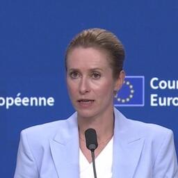 Глава европейской дипломатии Кая КАЛЛАС отметила, что «рыба осложняет многие геополитические процессы». Скриншот видеотрансляции пресс-службы дипломатического ведомства ЕС. CC BY 4.0
