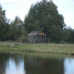 Конкурирующих организаторов платной рыбалки проверят на причастность к нанесению вреда русловому пруду. Фото пресс-службы минэкологии Московской области