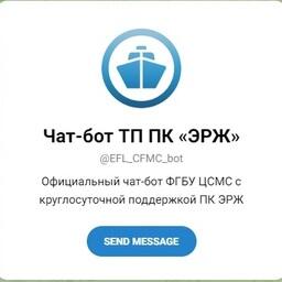 Центр системы мониторинга рыболовства и связи ввел в опытную эксплуатацию чат-бот для технической поддержки в работе с электронным рыболовным журналом