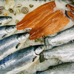 Рыбная продукция на выставке Seafood Expo Russia в Санкт-Петербурге в 2019 г. Фото ESG