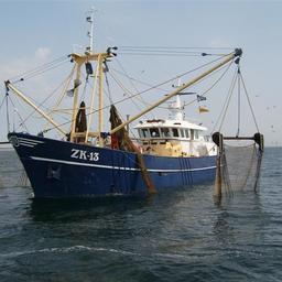 Участие в IV Global Fishery Forum and Seafood Expo Russia подтвердили производители комплектующих для судовых двигателей. Фото пресс-службы ESG