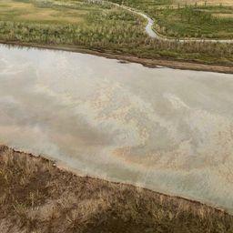 Следы нефтепродуктов в воде видны с вертолета. Фото пресс-службы Росрыболовства