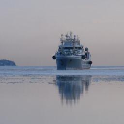 2023 год оказался богат на перемены в отрасли. Фото пресс-службы «Океанрыбфлота»