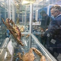 Морской музей Тихоокеанского филиала ВНИРО (ТИНРО)