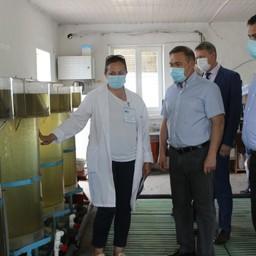 В Ростовской области действует программа по возмещению части затрат на выращивание рыбопосадочного материала для зарыбления естественных водоемов. Фото пресс-службы правительства региона