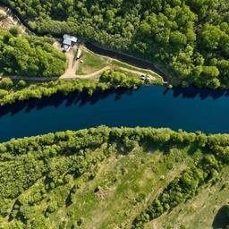Молодь отправили в реку Тымь. Фото пресс-службы Главрыбвода