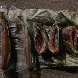 Всего, по версии следствия, похищено продукции более чем на 1,6 млн рублей. Фото пресс-службы управления МВД России по Амурской области