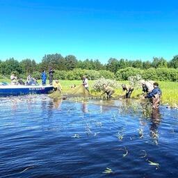Учет рыбы проводился на рыбоводных участках института в Ханты-Мансийском автономном округе — Югре. Фото пресс-службы Тюменского филиала ВНИРО