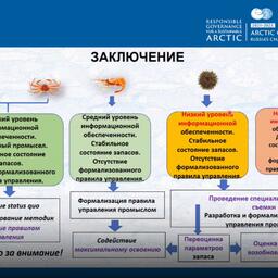 Заключение