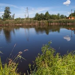 Рыбохозяйственные водные объекты определят по специальной методике