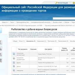 Документация об аукционе опубликована на сайте torgi.gov.ru