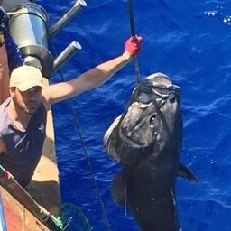 Победила в конкурсе фотография морского монаха, сделанная на ярусолове «Восток-7». Фото пресс-службы ЦСМС