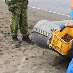 Силовики пресекли деятельность нелегального предприятия по вылову, переработке и сбыту травяного чилима. Кадр оперативной съемки