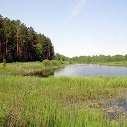 Одно из озер в Курганской области. Фото «Википедии»