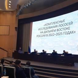 Дальневосточный научно-промысловый совет рассмотрел организацию лососевой путины