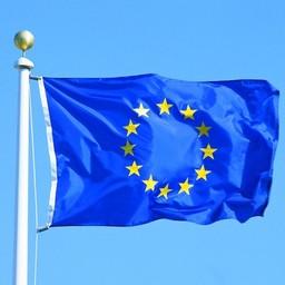 Евросоюз частично скорректировал список российских предприятий и судов, имеющих право поставлять рыбопродукцию в страны объединения
