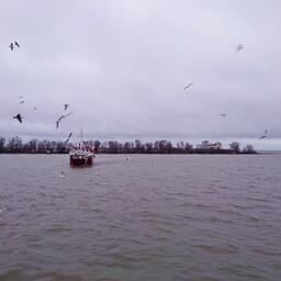 Промысловое судно ГК «За Родину»