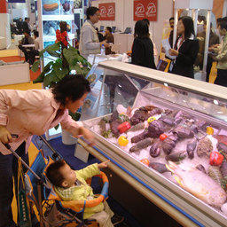 13-я Международная выставка «China Fisheries & Seafood Expo». Циндао, ноябрь 2008 г.