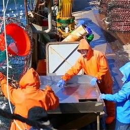 Промысел краба на Дальнем Востоке
