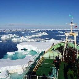 Судно на промысле клыкача в Антарктике. Фото А. Ремесло