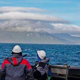 Выполнены комплексные научные работы на 93 океанологических станциях. Фото пресс-службы Минобрнауки