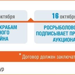 Сроки аукциона и заключения договоров на крабовые квоты