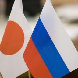 Специалисты готовятся к российско-японской комиссии по рыболовству. Фото пресс-службы Росрыболовства