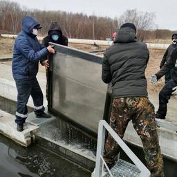 Первый выпуск молоди кеты состоялся 20 апреля на Анюйском рыбоводном заводе. Фото пресс-службы Главрыбвода