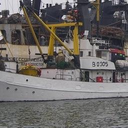 Работы по сельди проведет НИС «Убежденный». Фото пресс-службы ТИНРО