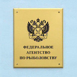 Росрыболовство собираются вернуть под контроль Правительства