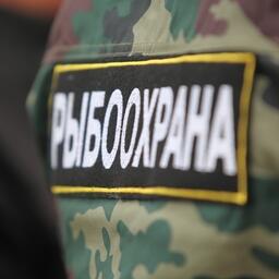 Методику охраны «краснокнижных» ВБР планируют обновить