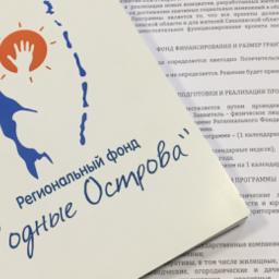Благотворительный фонд «Родные острова» начал прием заявок на гранты для социальных проектов. Фото пресс-службы фонда