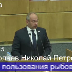 Законопроект представил председатель Комитета Госдумы по природным ресурсам, собственности и земельным отношениям Николай НИКОЛАЕВ