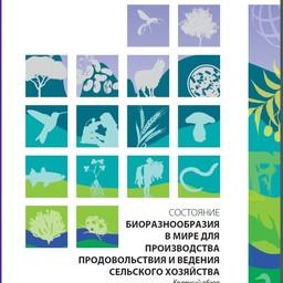 Обложка русскоязычной версии доклада. Иллюстрация ФАО